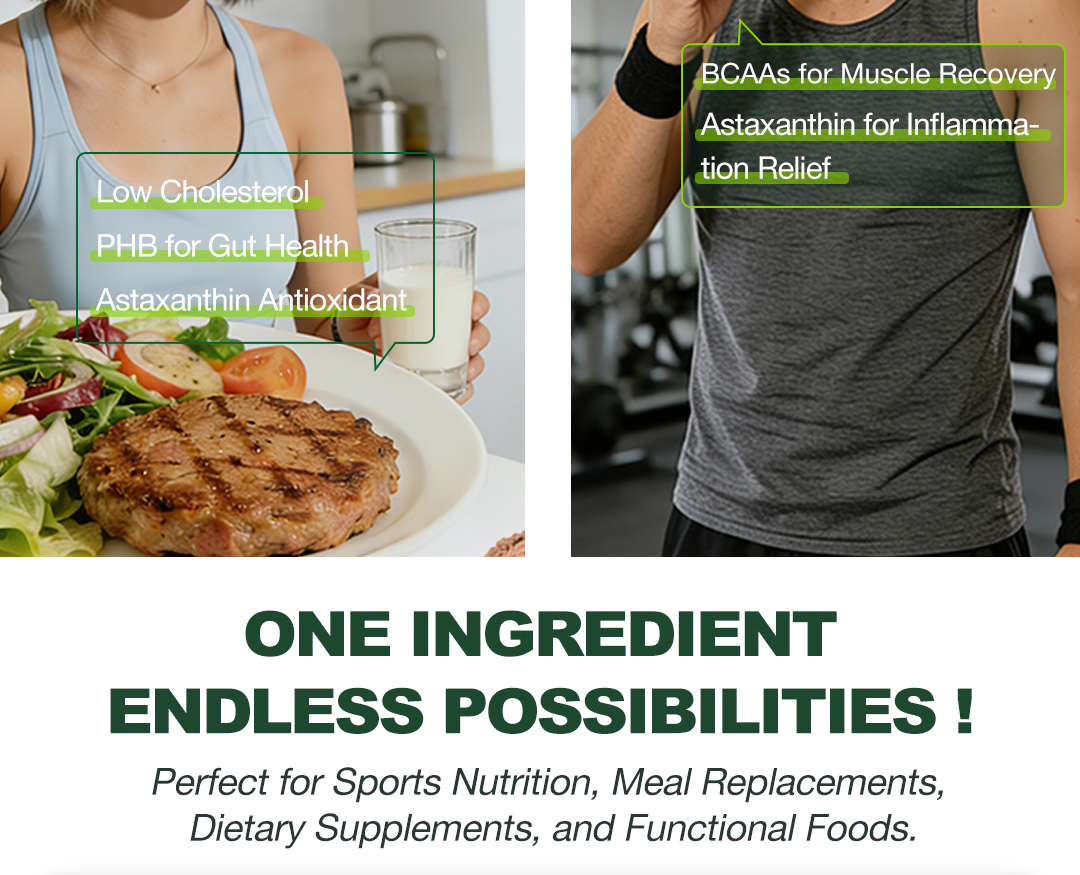 Fermented Protein Powder Model Scp a | Functional Protein Ingredient Bulk Supply From China