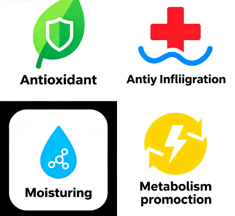Organic Noni Fruit Extract Powder High Purity Antioxidant Anti-inflammatory for Health Supplement