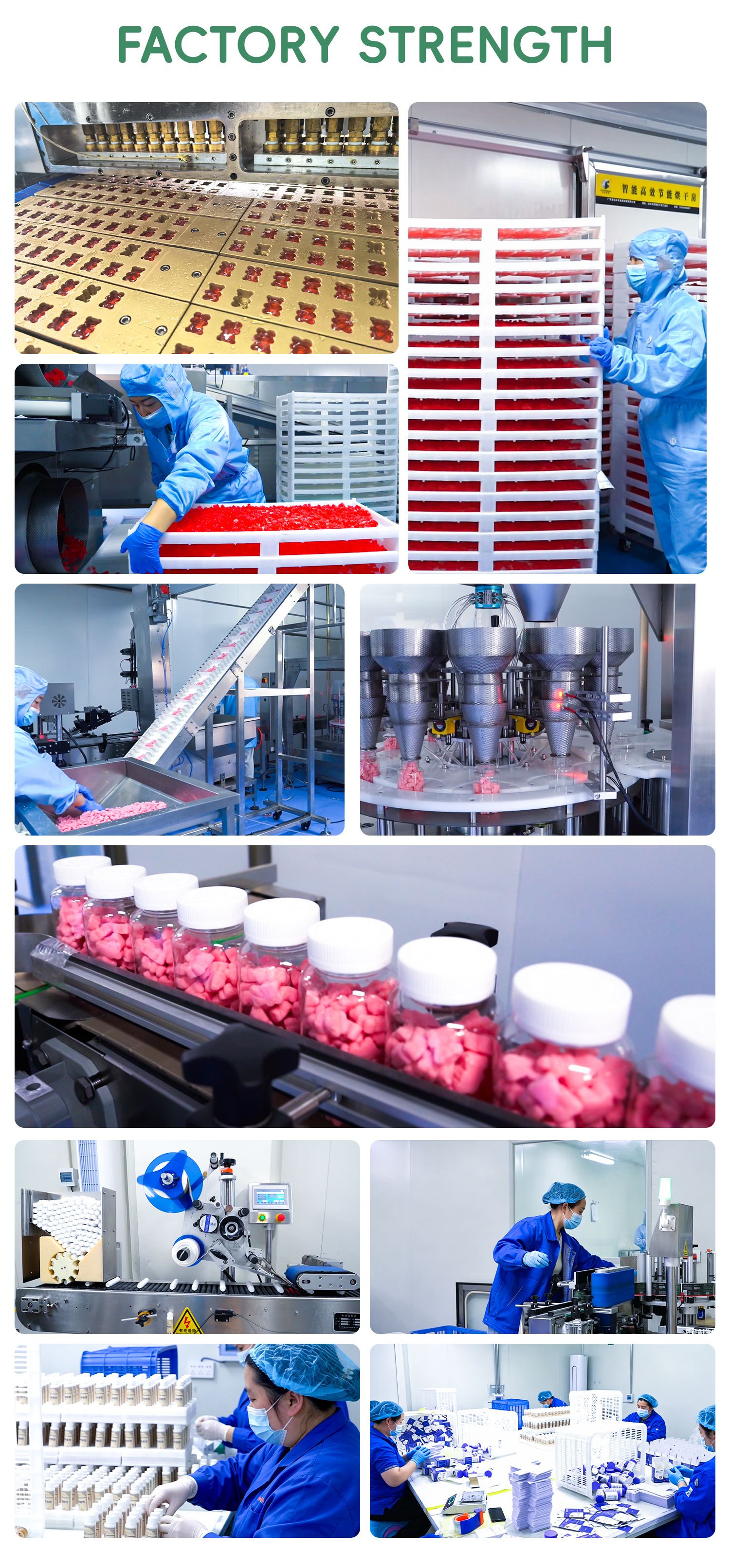 Production Facility Gummy Display 5