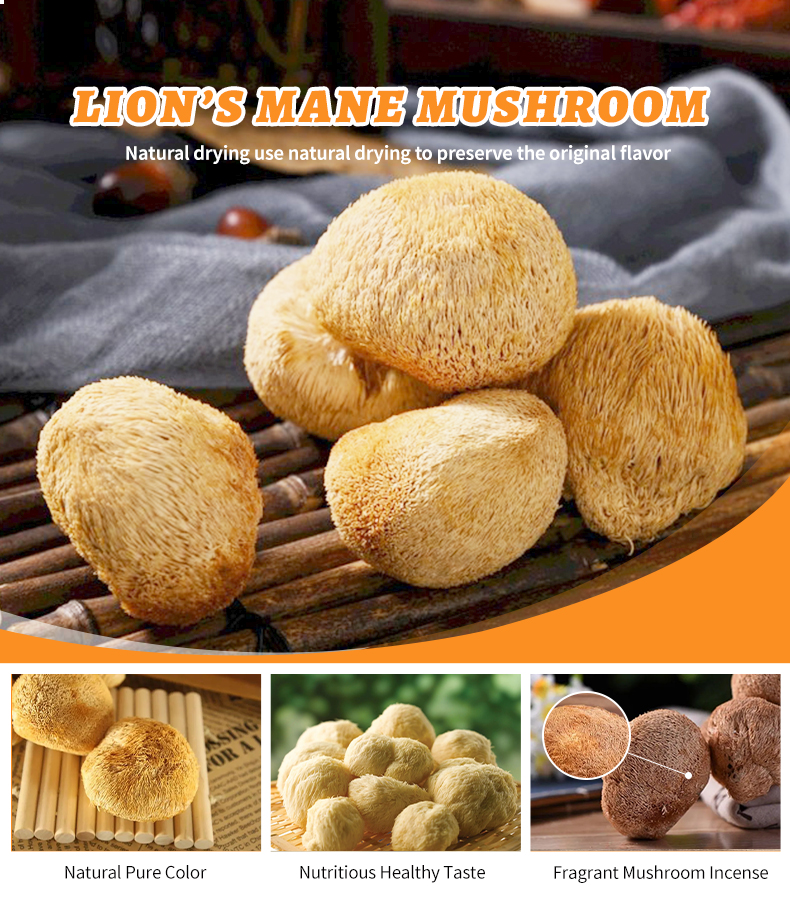 Lion's mane mushroom display 1