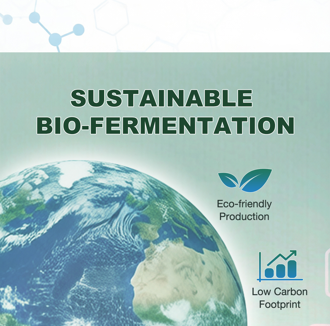 Fermented Protein Powder Model Scp a | Functional Protein Ingredient Bulk Supply From China