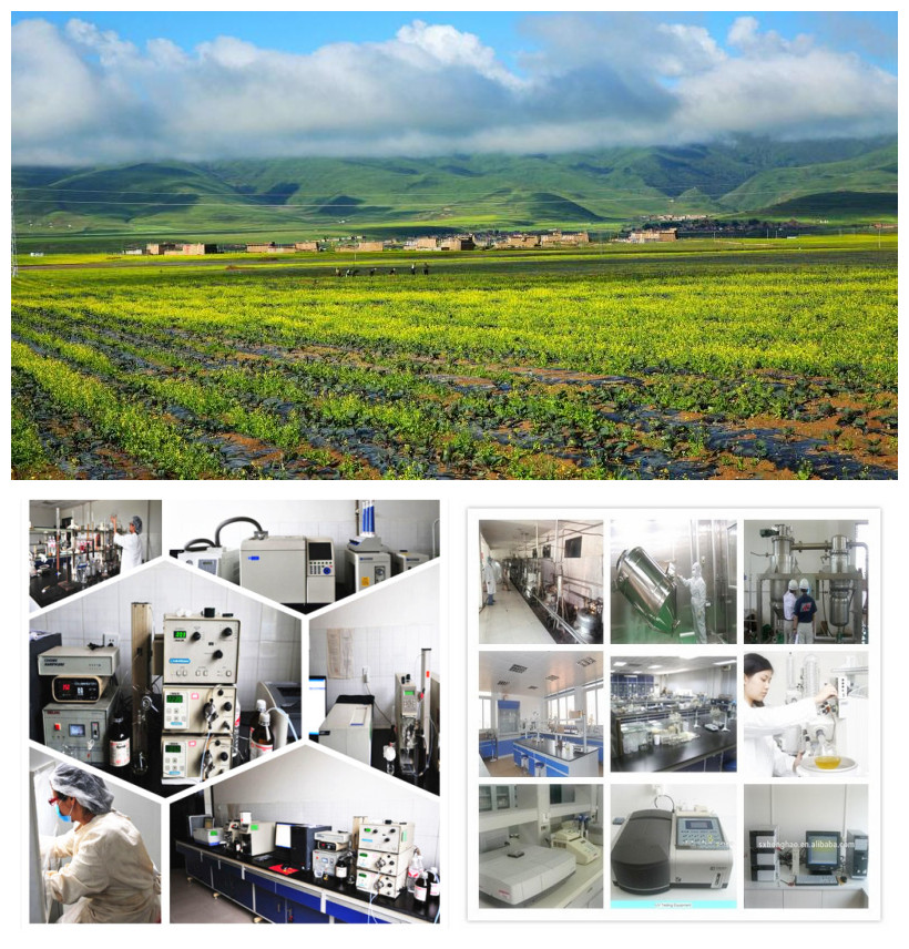Certificates and Lab Equipment