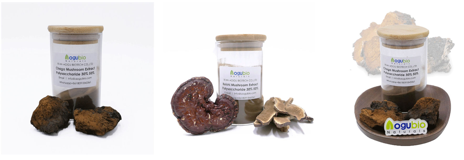 Reishi Mushroom Powder Processing