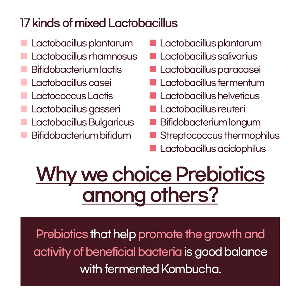 Funeat Real Kombucha Peach Description 7