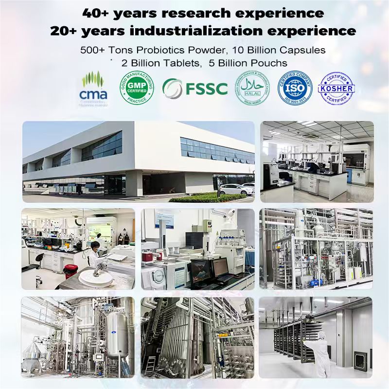 Factory Supply Heat Stable Saccharomyces Boulardii HS5 High Potency Probiotics Powder Raw Material At Good Price