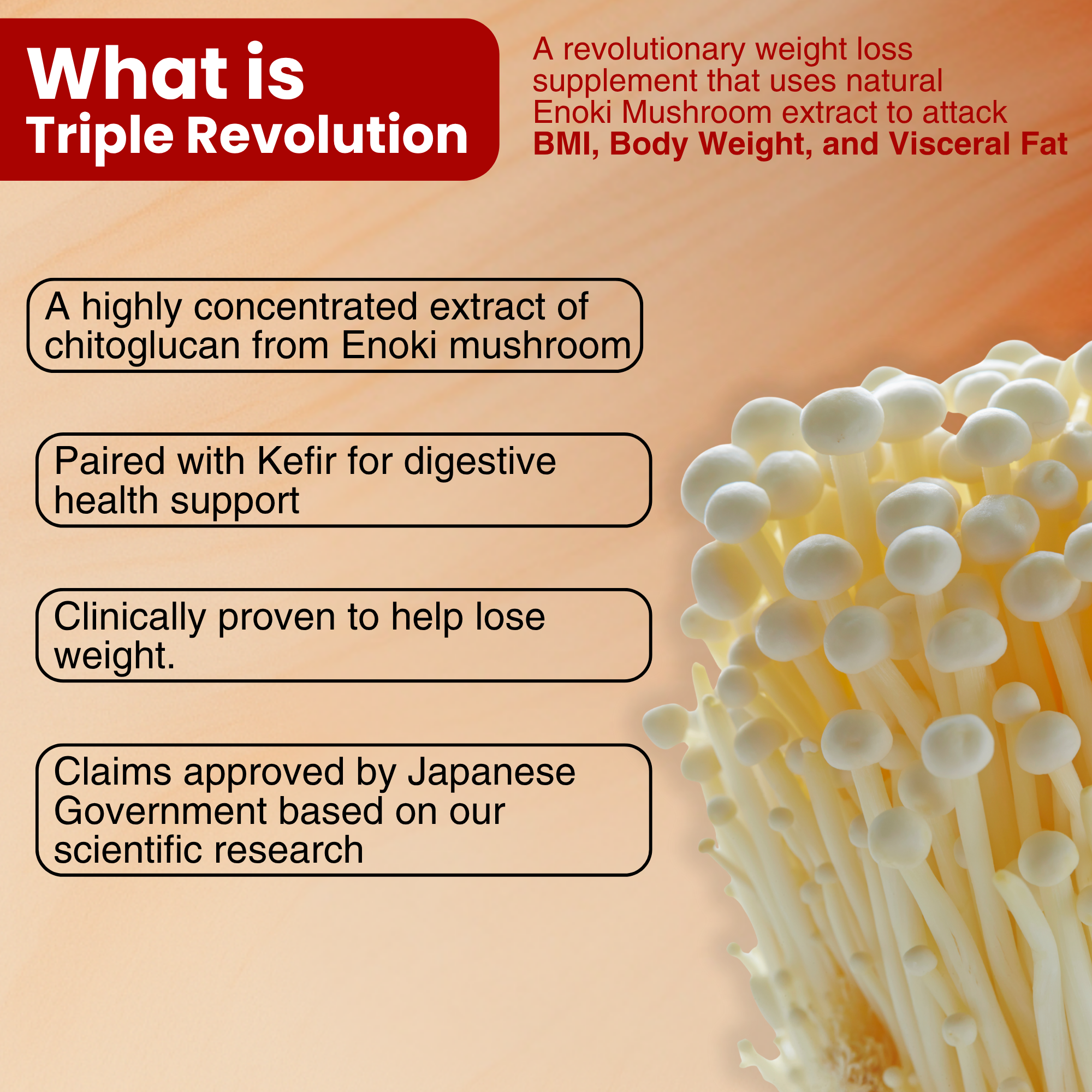 Japan Made Weight Loss mushroom Ingredient for Visceral Fat Reduction and BMI Control Ideal for Diet Supplements