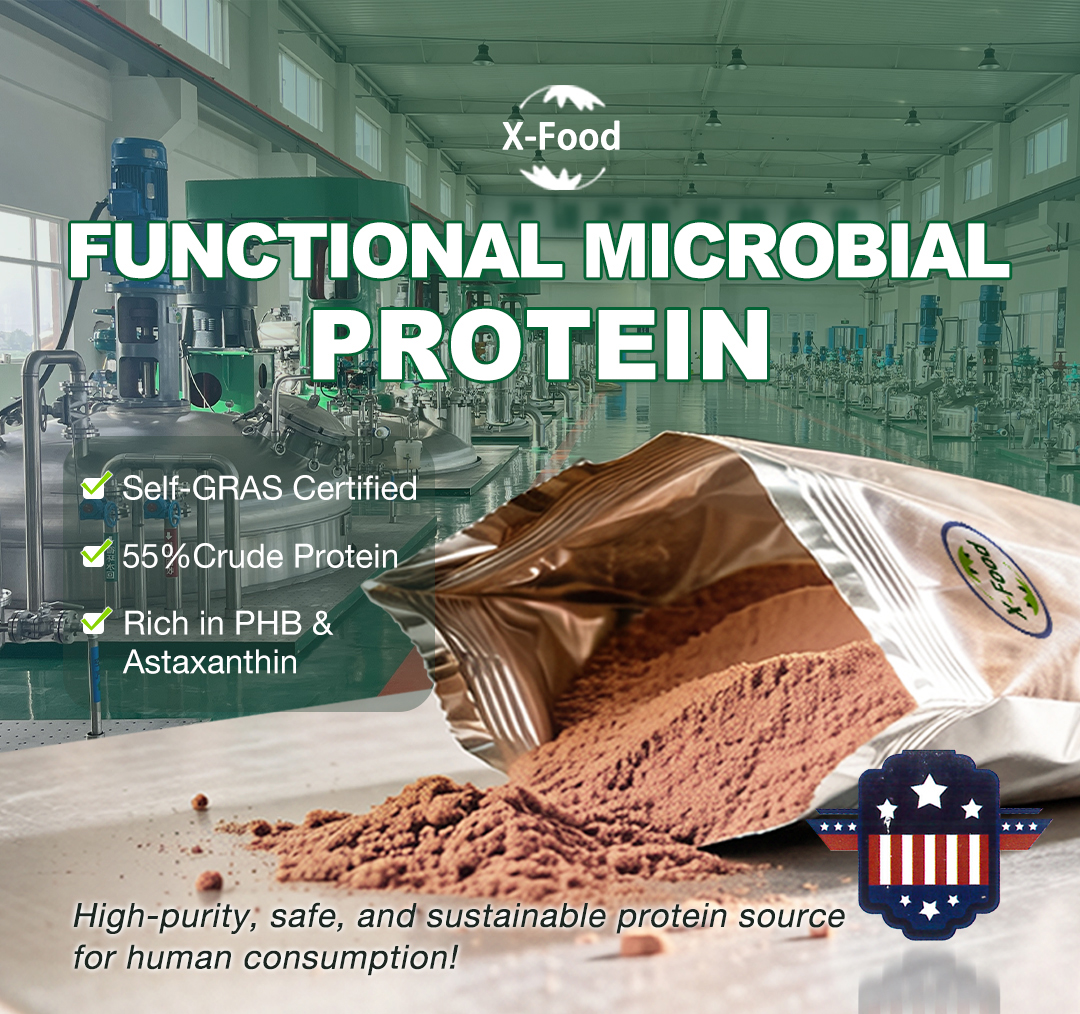 Fermented Protein Powder Model Scp a | Functional Protein Ingredient Bulk Supply From China