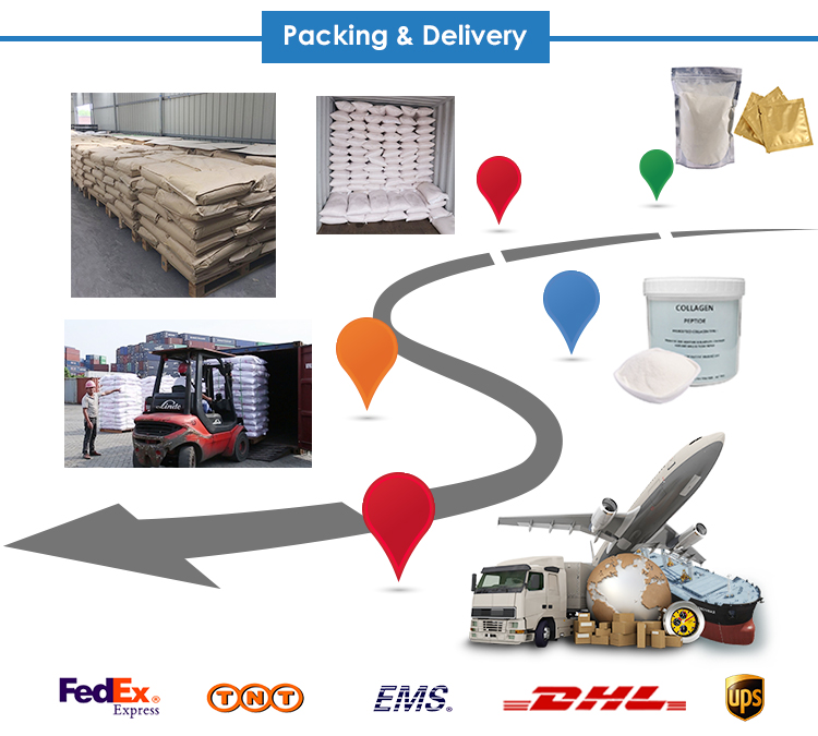 Logistic and Dispatch Process