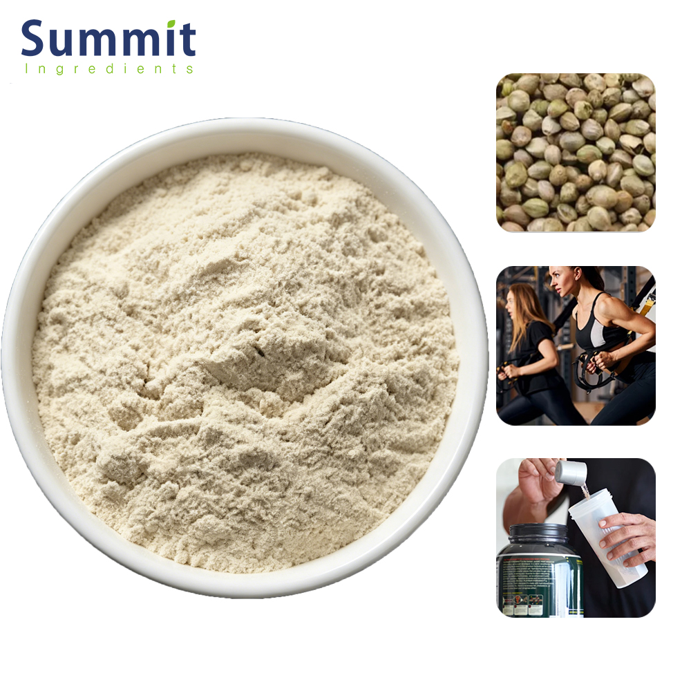 Bulk Supply Hemp Protein Powder 60% 70% Protein Plant Based Vegan Protein Non-GMO Natural Sports Nutrition Supplement Powder