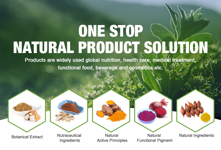 Botanical Extract Products Banner