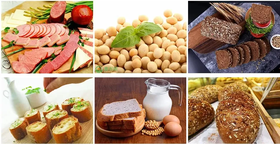 Customizable Textured Soy Protein Gluten-Free Sustainable Ingredient