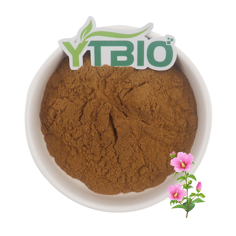 Althaea Rosea Extract 10:1 Althea Root Extract Powder ISO-Certified Herbal Ingredient for Supplements