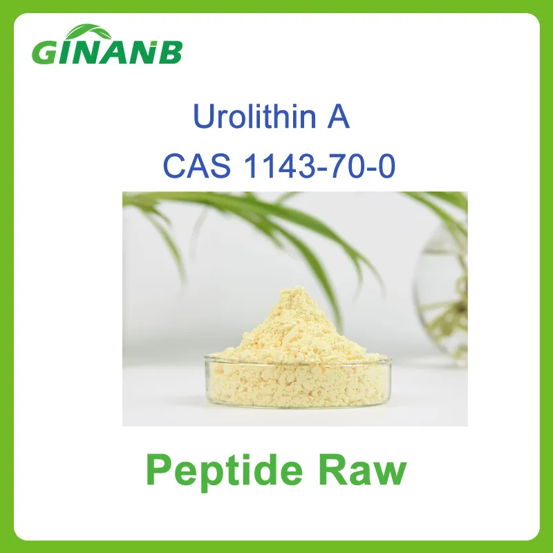 High Purity Urolithin a Nutraceutical and Sports Nutrition Ingredient