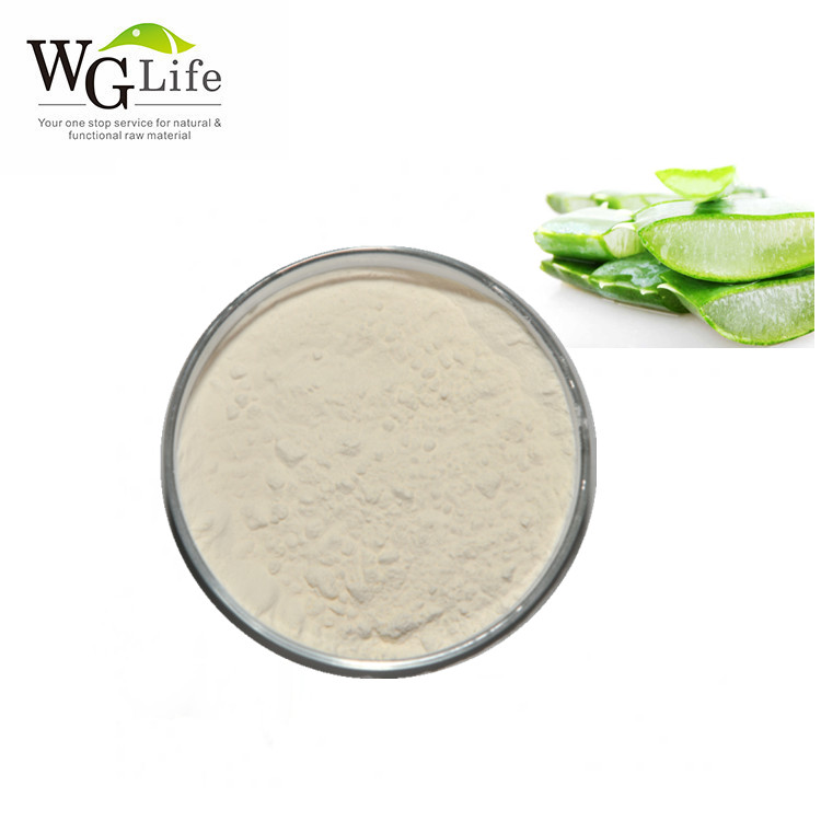 Wholesale 100% Pure Aloe Vera Gel Extract 100x 200x Herbal Powder Natural Cosmetic Ingredients Food Grade Packaged in Drum