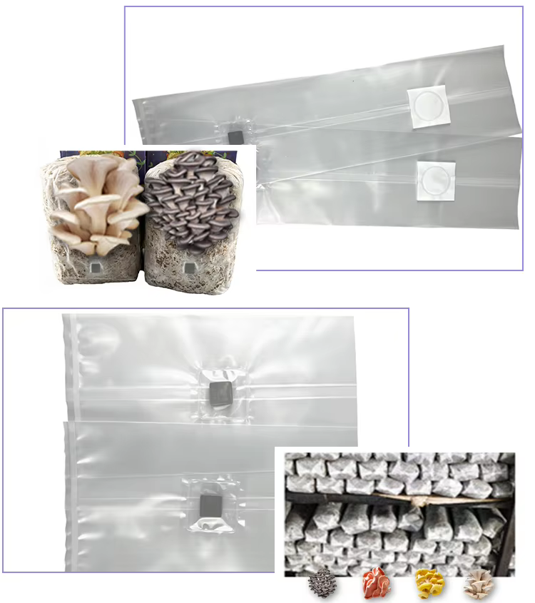 Product Feature Illustration 2