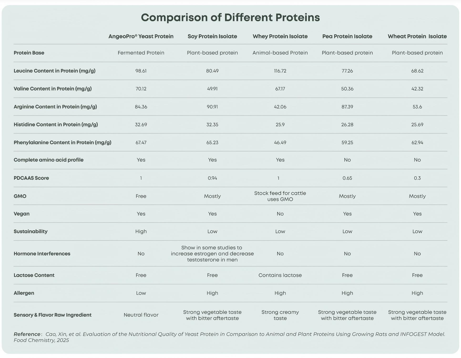 Wholesale Bulk Protein Powder Angeopro Yeast Protein Powder 99% Pure Hydrolyzed Yeast Protein Powder