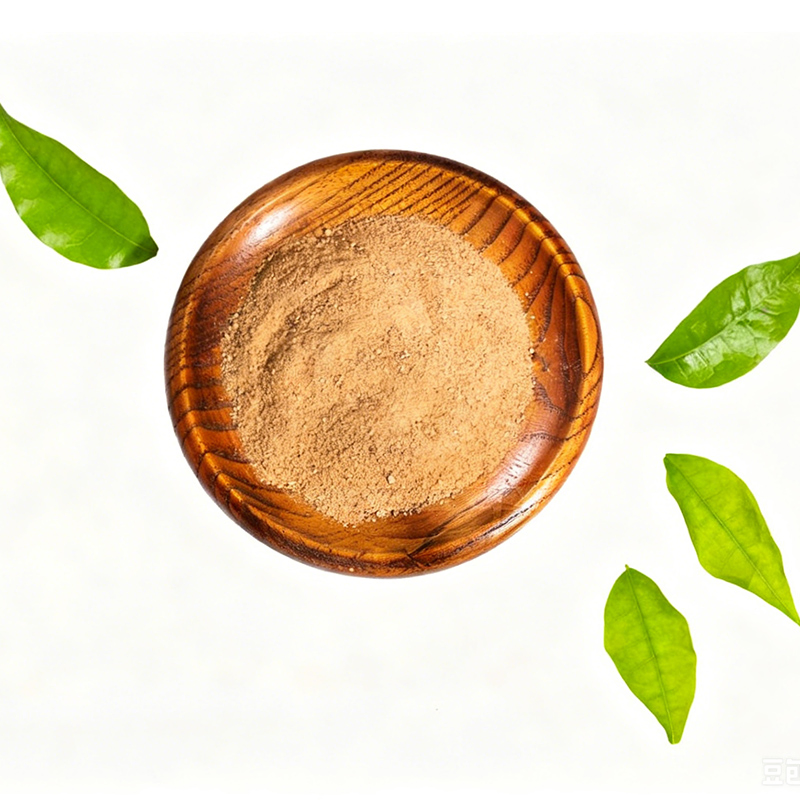 Forsythia Extract Traditional Herbal Ingredient for Immune &amp; Respiratory Support