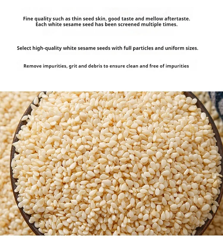 Roasted White Sesame/ 2021/Healthy Ingredient