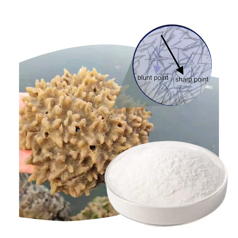 Marine Derived Hydrolyzed Sponge Spicule Wild Harvested Herbal Extract Powder 1kg 99% Purity MSDS Certified for Advanced Acne