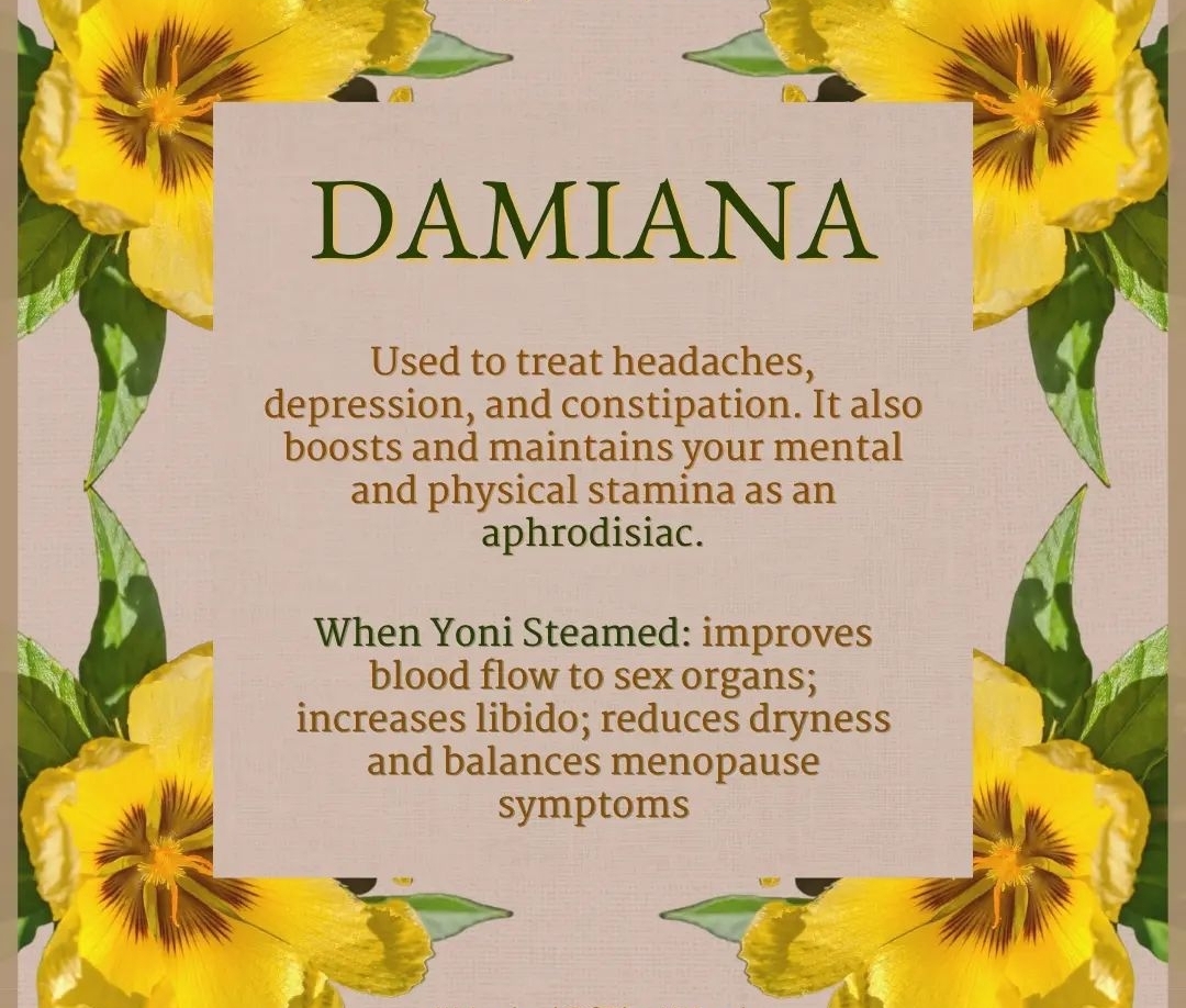 Private Factory Custom Labeled Herbal Extract Powder Wild Damina/Turnera Leaves Natural Plant Ingredients for Libido Enhancement
