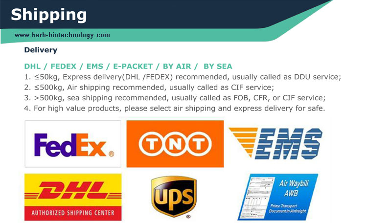 Global Shipping