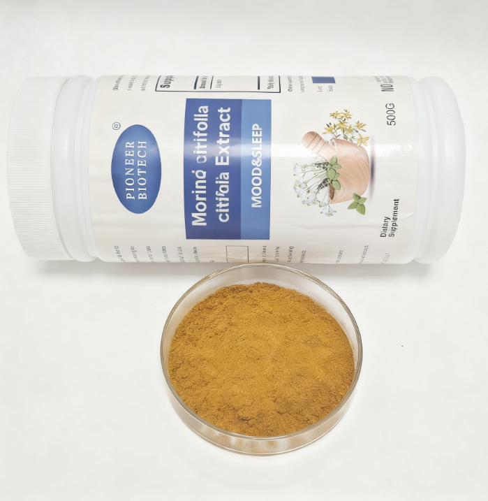 Organic Noni Fruit Extract Powder High Purity Antioxidant Anti-inflammatory for Health Supplement