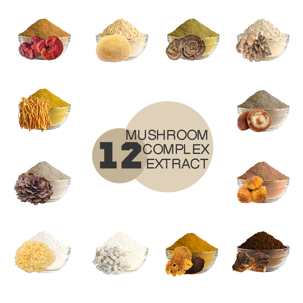 Private Label Herbal Mushroom Extract Powder - USDA Organic - Lions Mane, Reishi, Cordyceps, Chaga, Turkey Tail