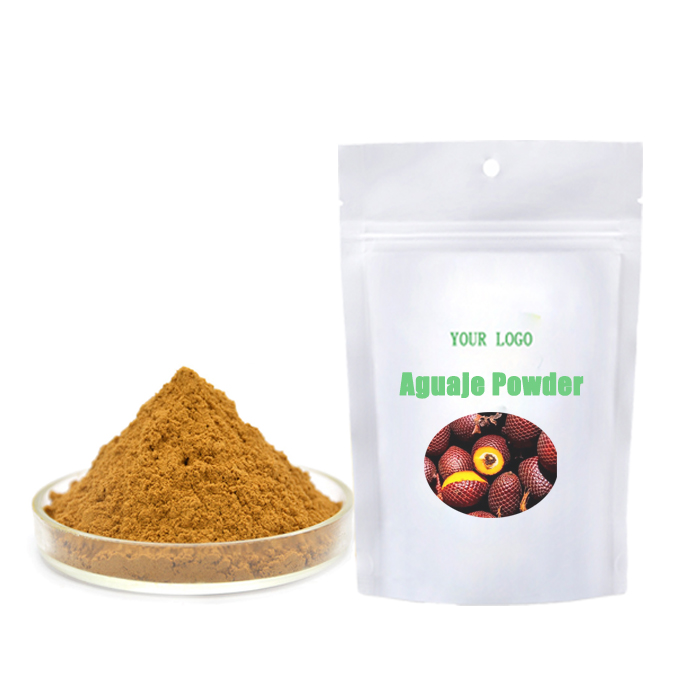 Aguaje Fruit Powder Close Up