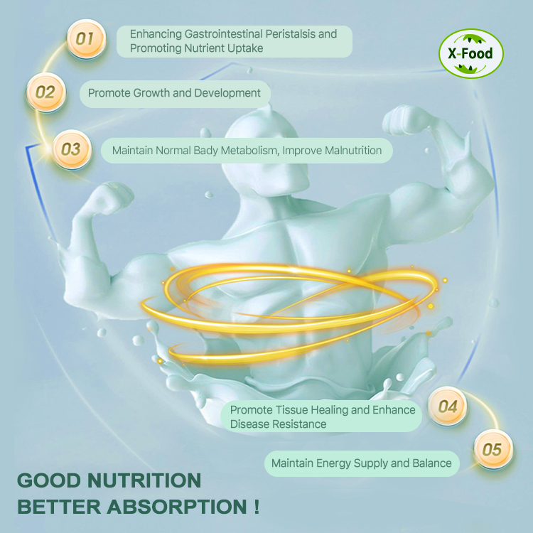 Fermented Protein Powder Model Scp a | Functional Protein Ingredient Bulk Supply From China