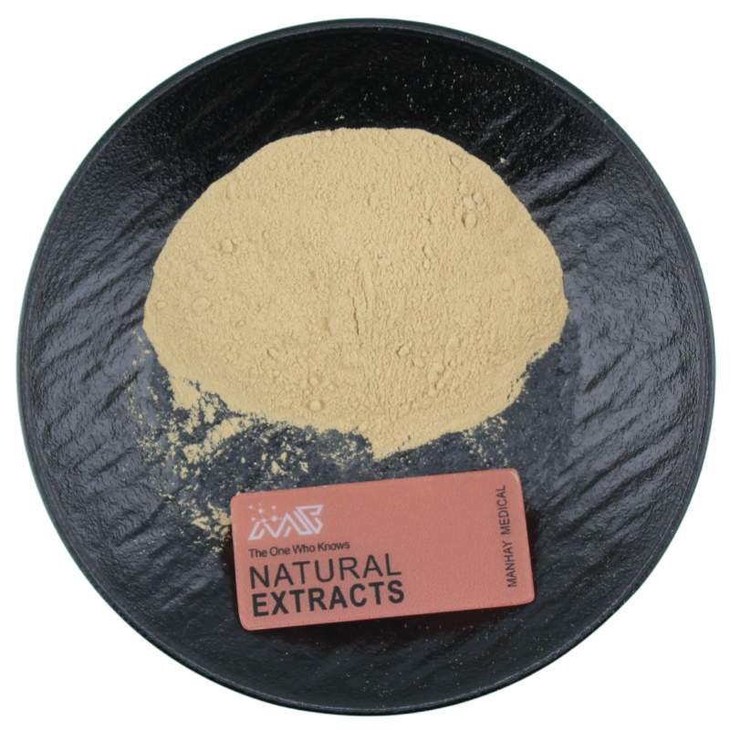 Manhay Supply Pediococcus Pentosaceus Food Ingredients Probiotics Powder