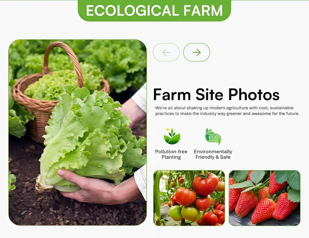 Related product 3