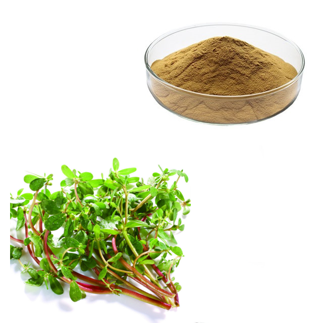 Factory Price Cosmetic Ingredients Herba Portulacae Extract/Portulaca Oleracea L. Extract Powder