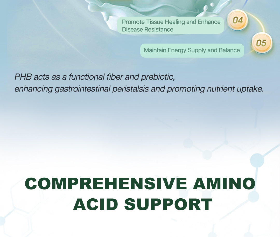 Fermented Protein Powder Model Scp a | Functional Protein Ingredient Bulk Supply From China