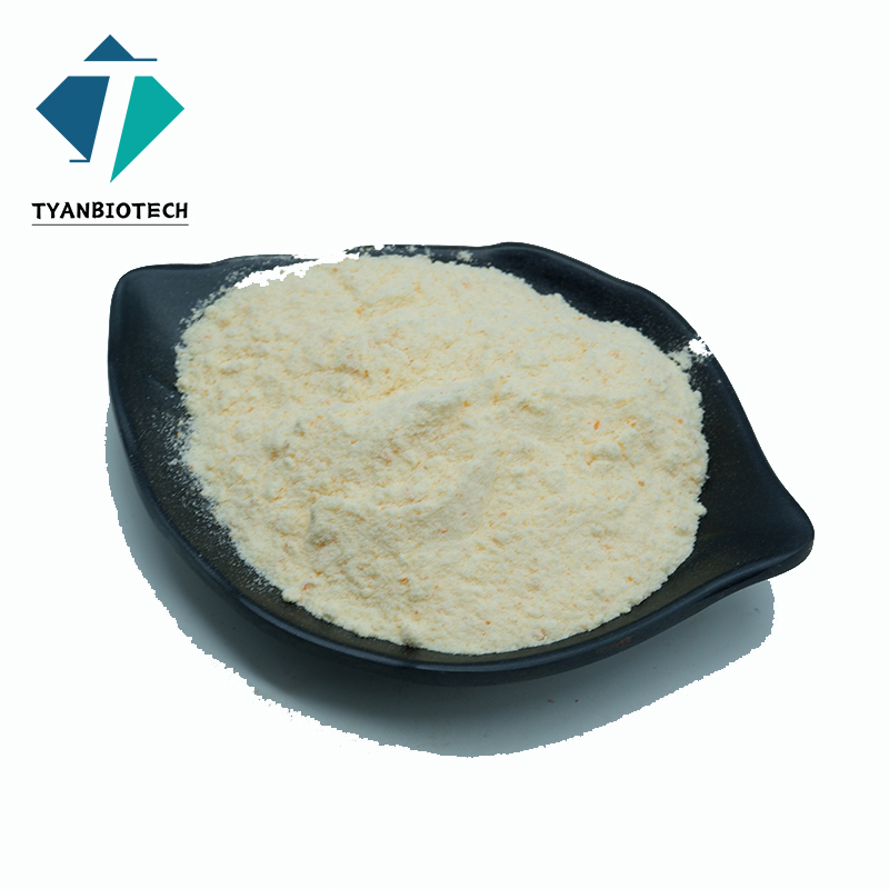 Hydrolyzed Vegan Protein Powder Pea Protein Isolated for Sport Supplement Powder