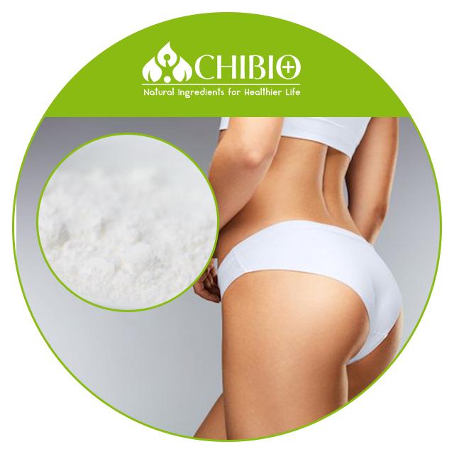 Non-toxic Hot Sale 97%-103% L- Carnitine Powder Pure Ingredients for Weight Management