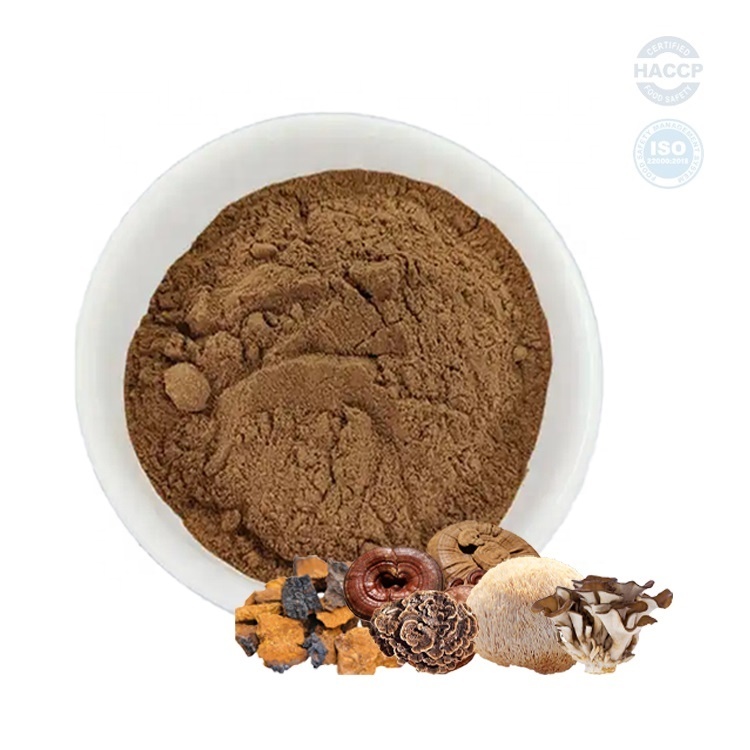 Organic 12 In1 Mixed Mushroom Extract Blend Powder 7 in 1 Mushroom Mix Powder