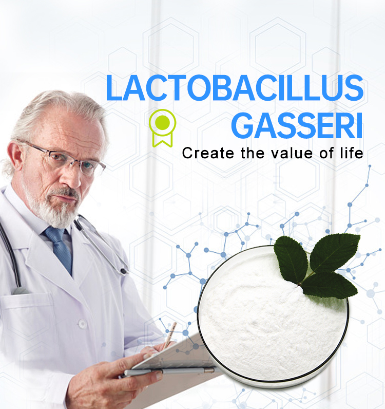 Probiotics Lactobacillus Gasseri Food Ingredients Freeze-dried Probiotics Powder