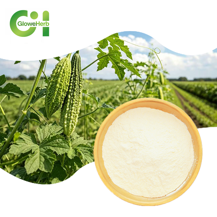 Factory Manufactured Herbal Ingredients for High Purity Bitter Melon Extract Powder