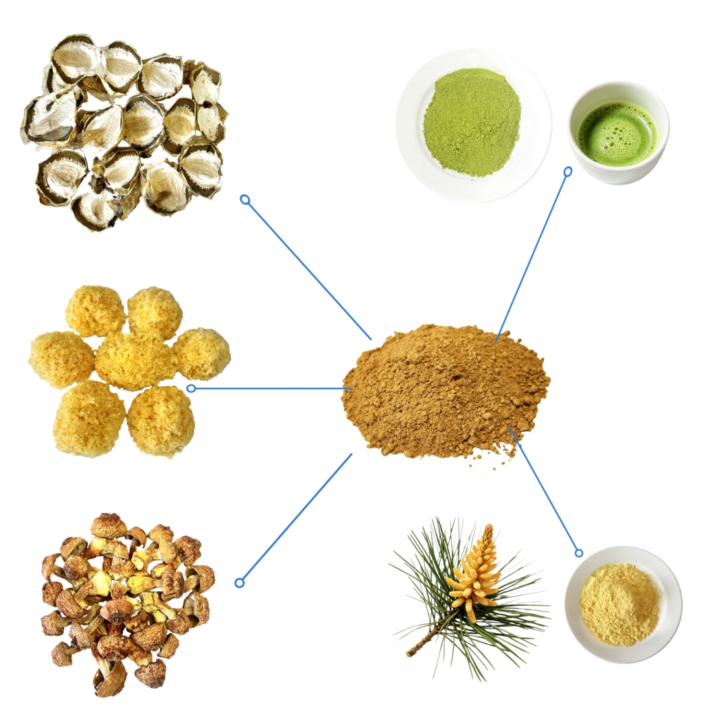 Health Drink 5 In 1 Blend Powder Mushroom Extract Matcha &amp; Pine Pollen