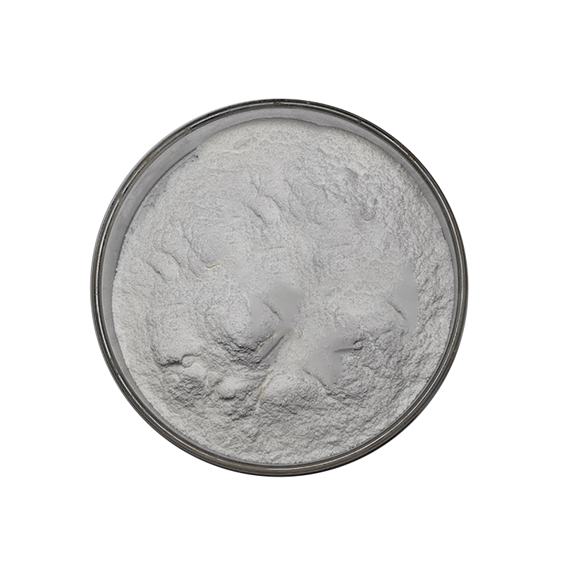 Food Grade 98% Betulinic Acid Powder White Herbal Extract in Bottle Drum or Plastic Container Supplying Quality Ingredients
