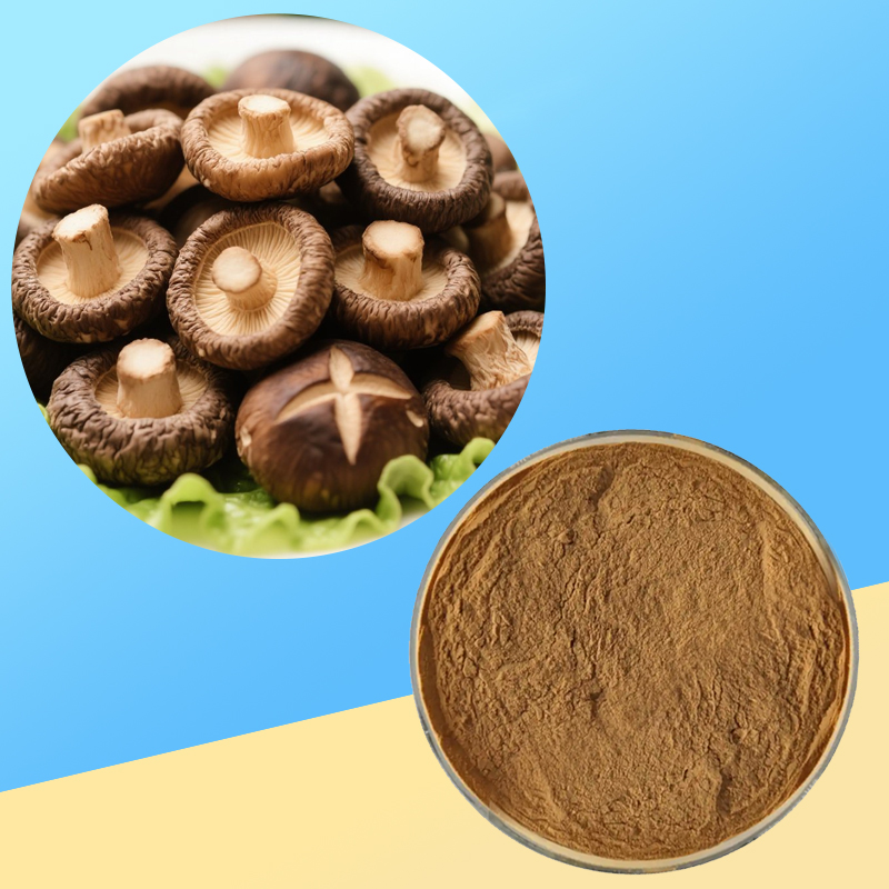 Wholesale Natural Lentinan Polysaccharides Pure Shiitake Mushroom Extract Powder CAS 37339-90-5 Food Grade for Functional Foods