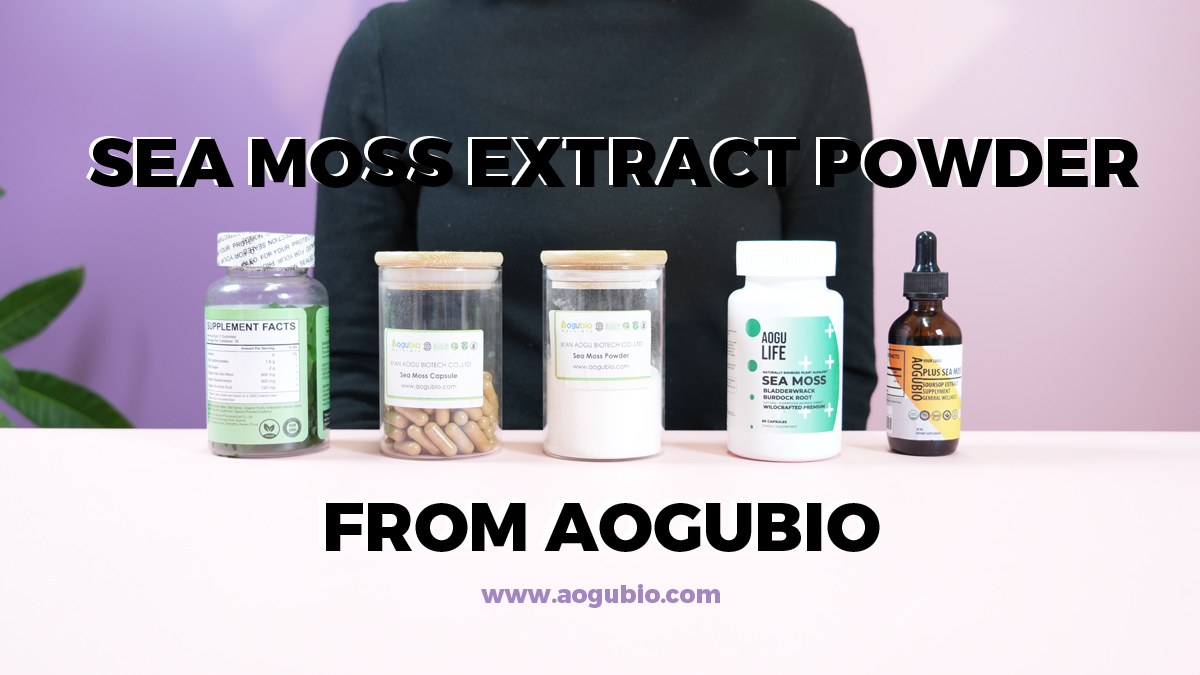 Aogubio Supply SeaMoss Extract Natural Organic Irish Sea Moss Powder Seamoss Powder Bulk Irish Sea Moss Powder
