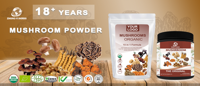 Mushroom Powder Banner