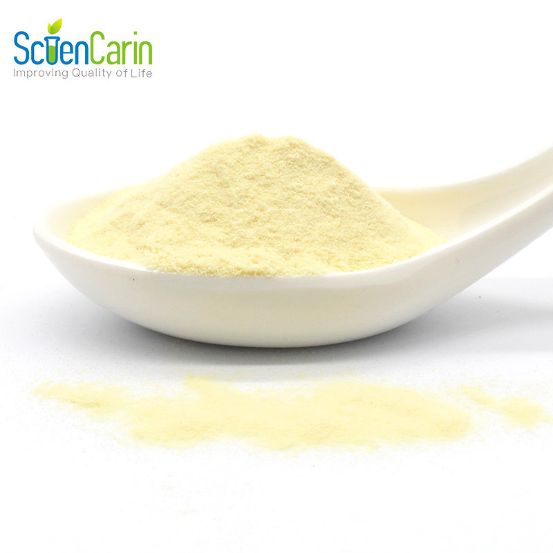 HALAL Approved Natural Herbal Ingredients Garlic Extract Powder Allicin