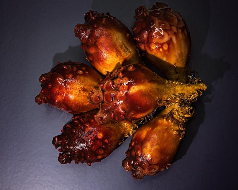 Japanese Sea Squirt-derived Plasmalogen Raw Material Powder Made in Japan for Health Foods and Dietary Supplement