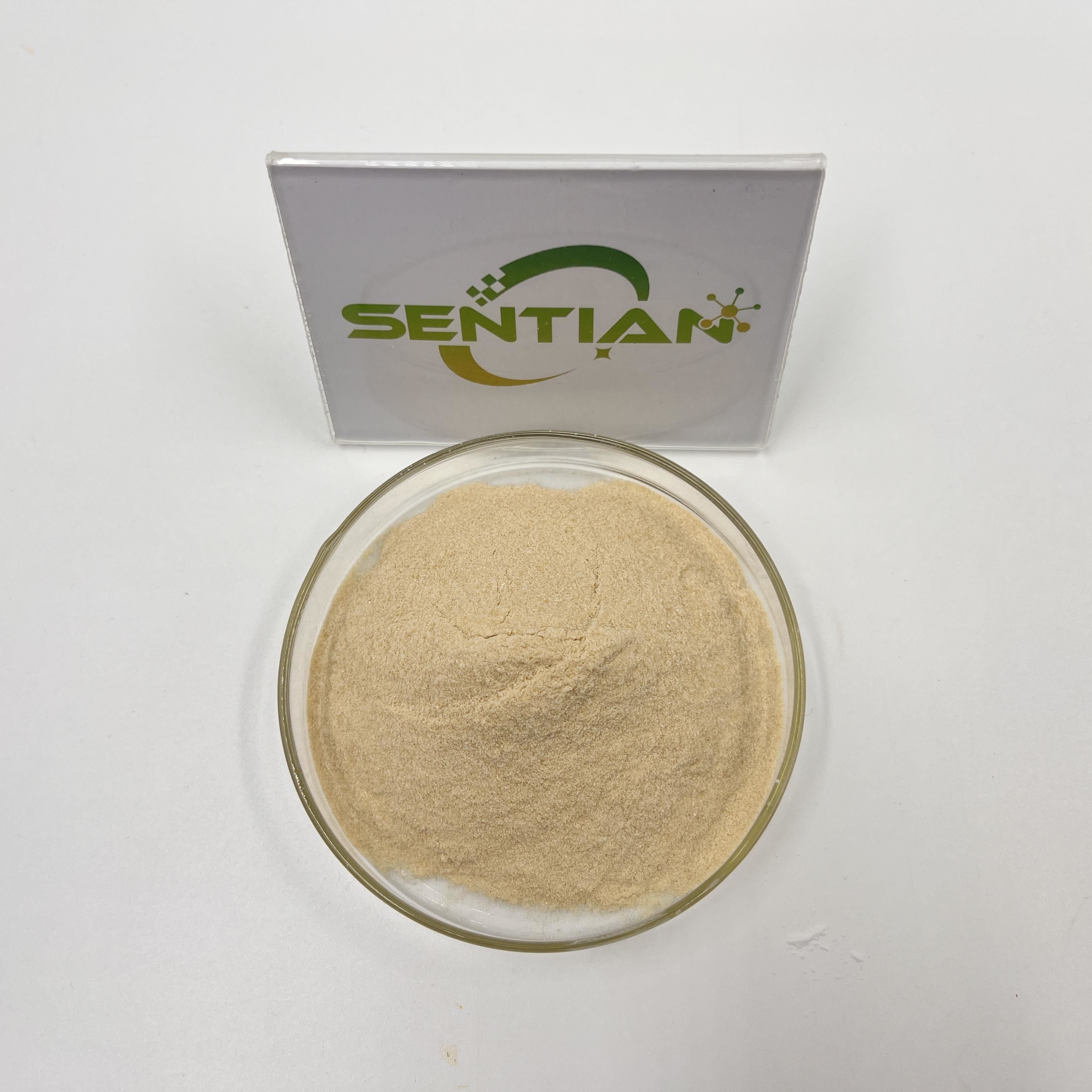 Food Additive Yeast Extract Enzyme Factory Supply Hot Sale Yeast Extract Enzyme Food Grade Nutritional Powder