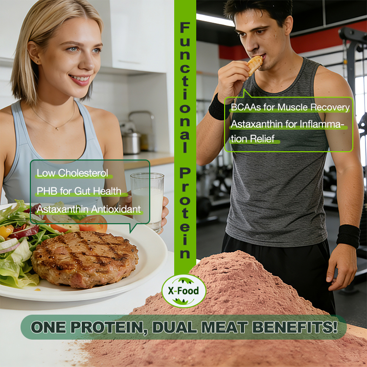 Fermented Protein Powder Model Scp a | Functional Protein Ingredient Bulk Supply From China