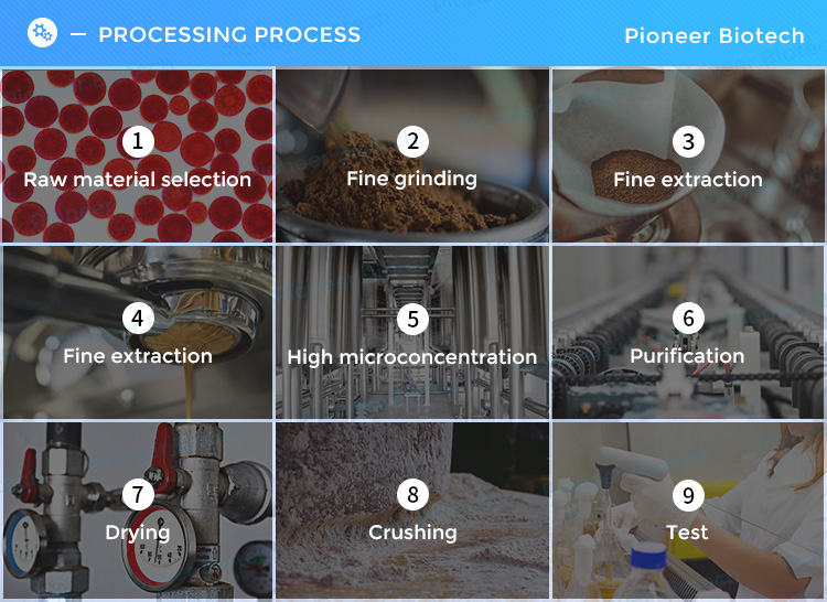 Advanced Production Line