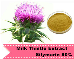 Recommended Product 3