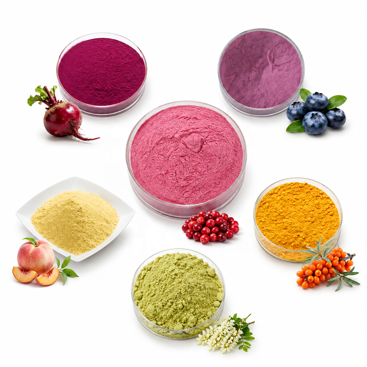 Active Fermented Mimosa Pudica Extract Powder Natural Plant Enzyme for Sensitive Skin Soothing and Repairing Ingredients